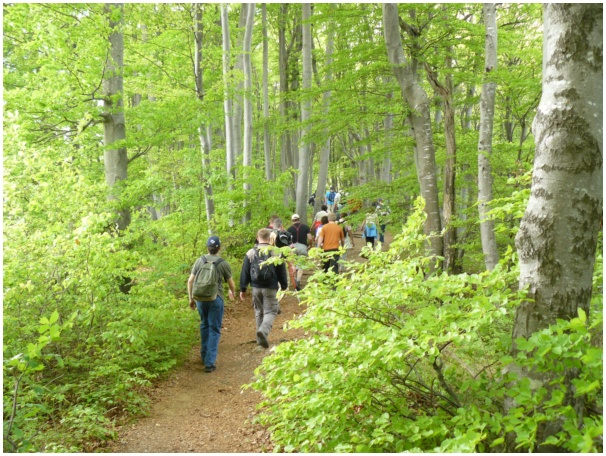 584x433 pixels (187K)